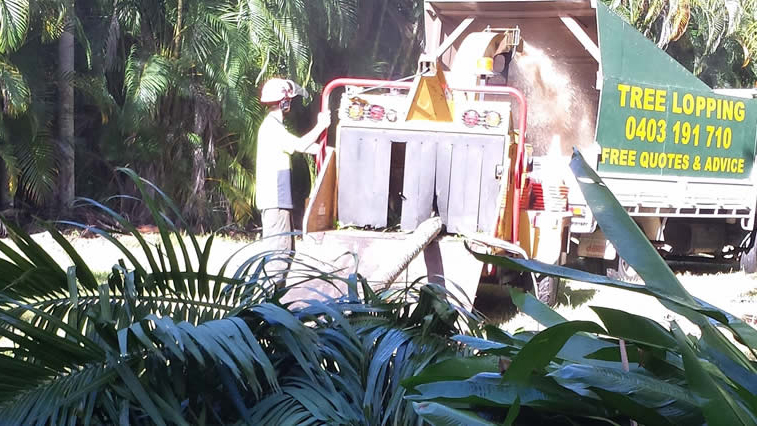Wood chipping