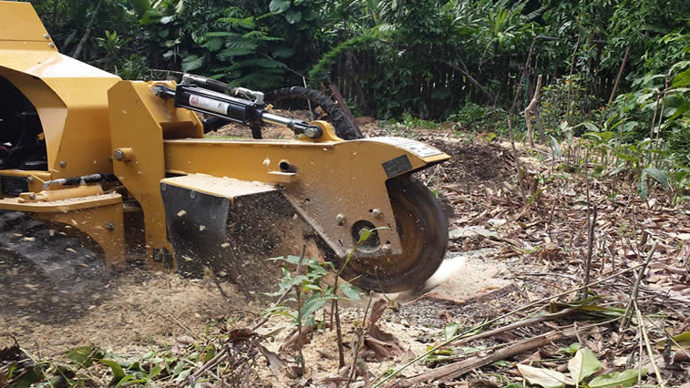 Stump grinding